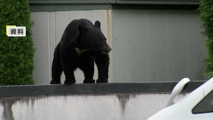 配達再開は現地郵便局の判断…クマ出没で日本郵便が秋田県内の一部地域で配達見合わせ