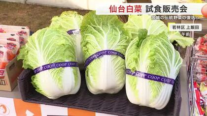 伝統野菜「仙台白菜」復活へ　若手生産者がスーパーで試食販売　「キャベツより甘い」お好み焼き振る舞う