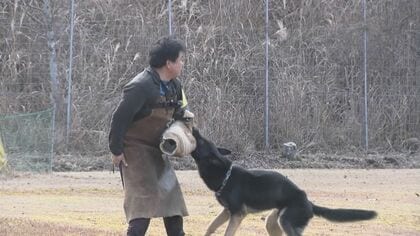 「鼻は小型犬の方がいい気がする」知っているようで知らない『警察犬』のイマ 全国で9割近くが嘱託の民間犬