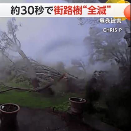 車内で死を覚悟したカップルも…“巨大竜巻”が30秒で街路樹を全滅　建物にも甚大な被害　アメリカ