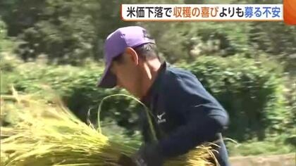 【コメ】「今年は完全に赤字」価格下落で農家苦悩…魚沼産コシの産地から悲痛な声「やめざるを得ない」新潟