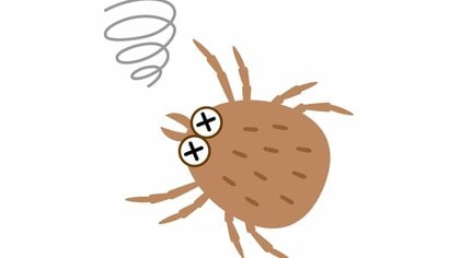「ダニ捕りシートは逆効果」は誤解！子どもやペットがいる家庭でこそ使うべき理由と効果を最大限に発揮する設置場所