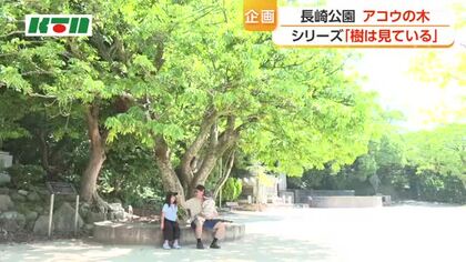 恐ろしい別名が！？長崎公園のアコウ
