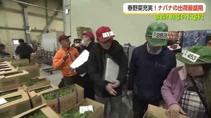 春の地物ナバナがピーク、新タマネギは2〜3割安に　一推しは地物ナバナのパスタ【追跡！野菜のお値段】