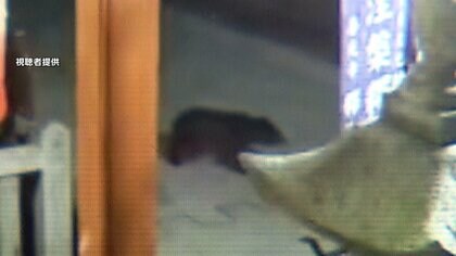 “熊被害”相次ぐ…長野・善光寺の周辺ではカメラに熊の姿　秋田では農作業中の男性（80）が襲われ額にケガ