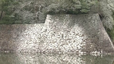 名古屋城の石垣や木々が“真っ白”に　犯人は「カワウ」お堀のボラ狙った大群が落とす大量のフン　貴重な文化財の石垣は洗浄困難