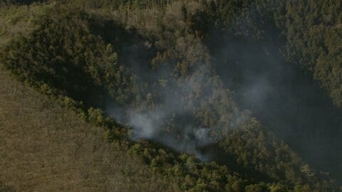 神奈川や群馬で山火事　いずれも鎮火のめど立たず