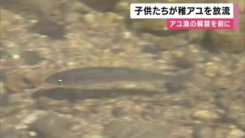 「大きくなるまで育ってほしい」アユの稚魚放流　地元の子どもたちが清流へ　6月1日にアユ漁解禁へ 　兵庫・養父市