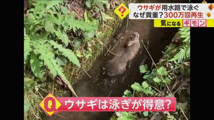 (ヒロさん撮影)