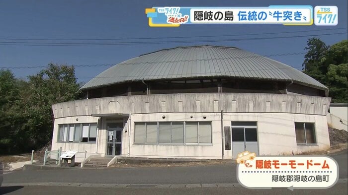 隠岐の島町の観光名所「隠岐モーモードーム」