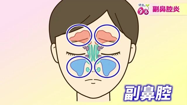鼻腔のそばにあるのが副鼻腔