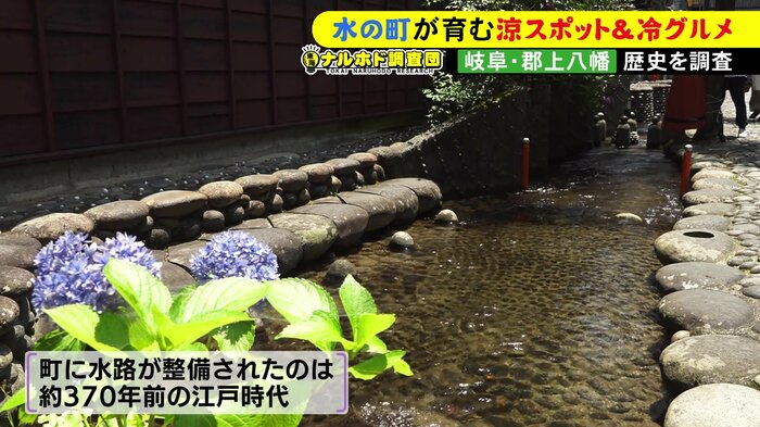 ニュースONE