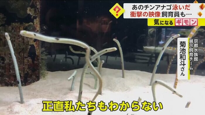 (京都水族館)