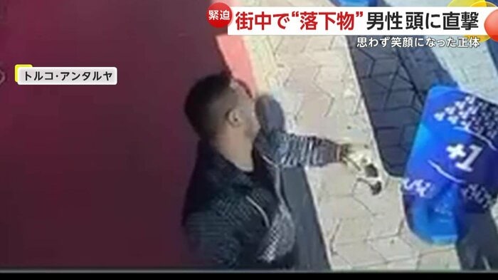 ネコに直撃された男性は笑顔(IHA)