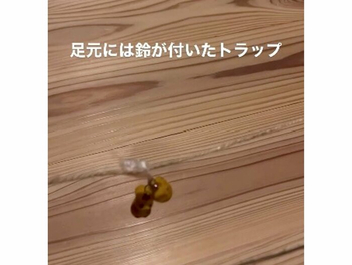 提供:西出翔さん