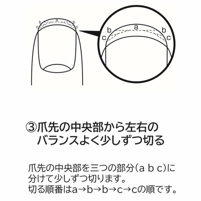 爪切りの手順(画像提供:貝印)