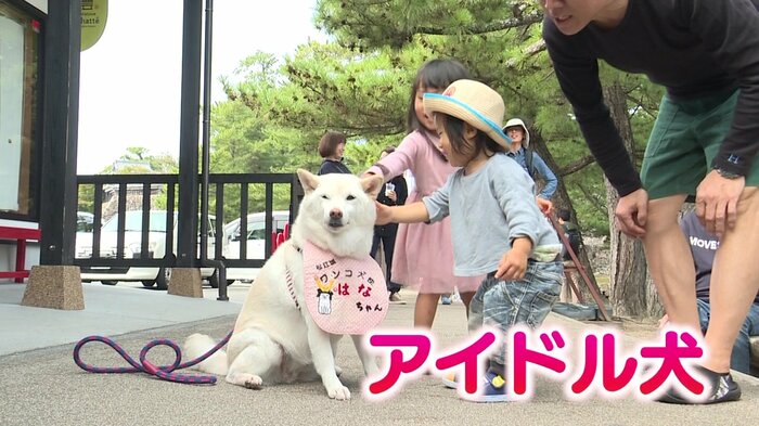 トレードマークはピンクの前掛け