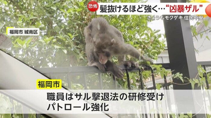 市では対策を強化(FNN投稿サイト「ビデオPost」)