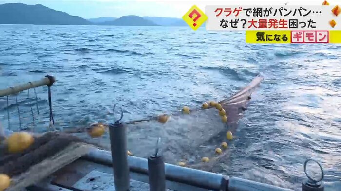 引き揚げられる底引き網