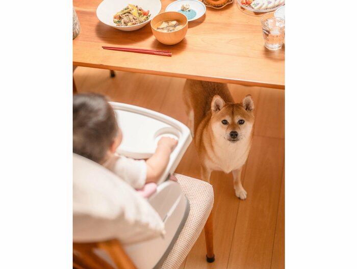 まーちゃんをテーブルの下から見守っている