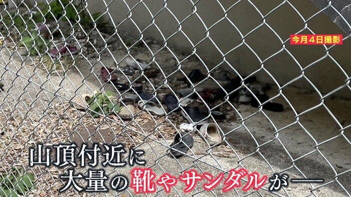 120足以上を発見したという