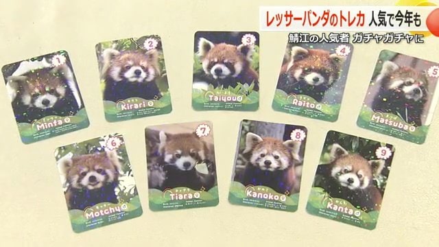 集めたくなっちゃう！？