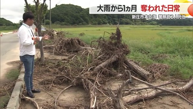 道路脇には流れ着いた木々が残されたままになっている