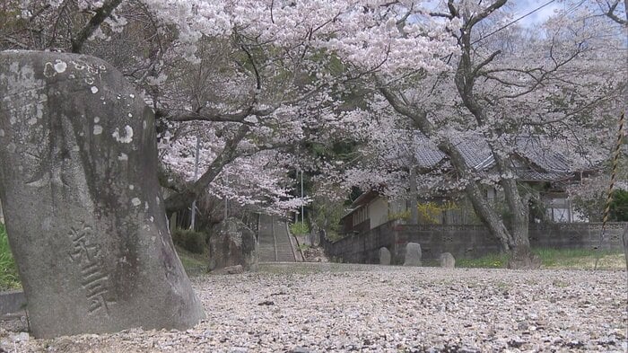 いわき市四倉町・薬王寺(4月7日撮影)