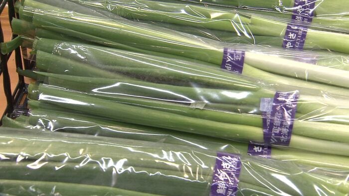 今お得な長ネギ