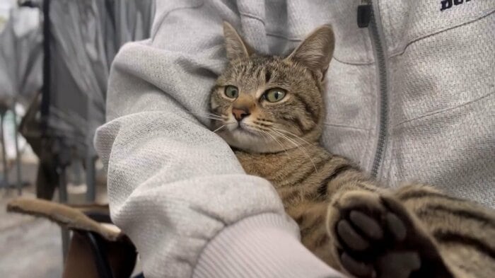 抱っこ大好きコナツちゃん