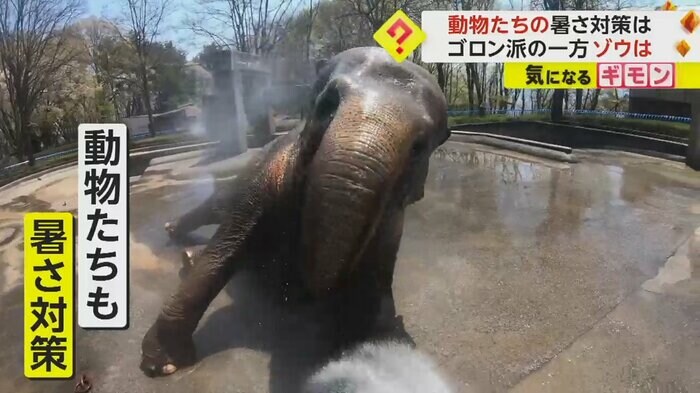 (茶臼山動物園)