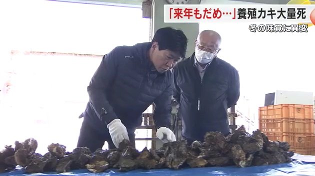 視察に訪れた伊原木隆太知事