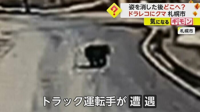 (画像:視聴者撮影)