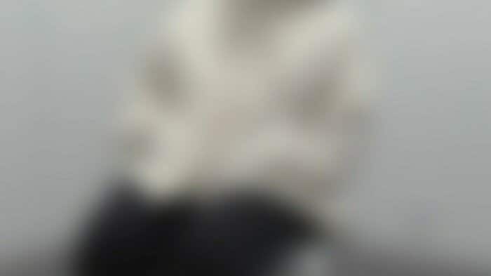 証言する助成金啓発団体の別の元職員