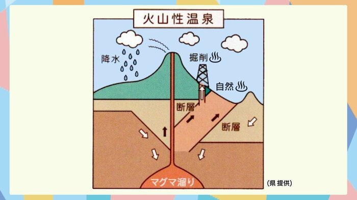 大分県提供