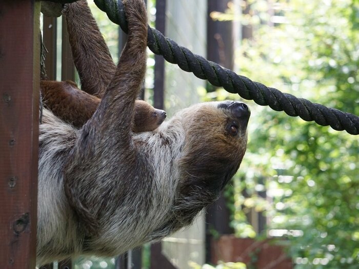 おでかけする親子(提供:埼玉県こども動物自然公園)