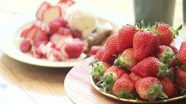 一期（いちご）一会の美味しい旅へ　長崎で今、イチゴが熱い！販売額が過去最高の裏には若い世代の参入が｜FNNプライムオンライン