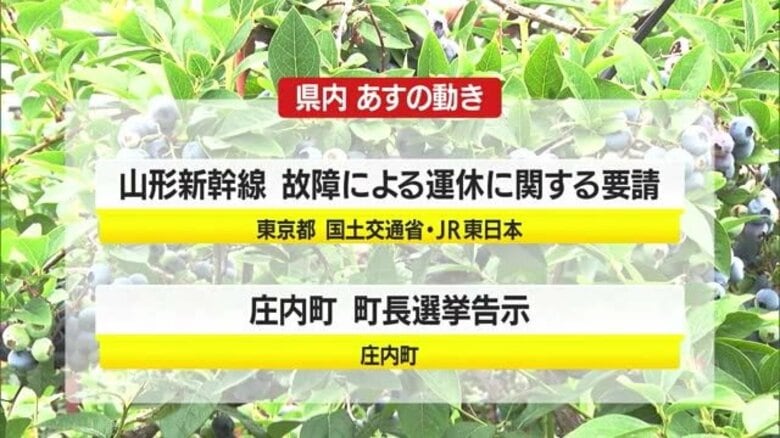 ＊7/15の山形県内の主な動き＊｜FNNプライムオンライン
