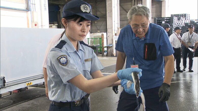 「うなぎを食べて元気に…」19日の「土用の丑の日」を前に約2トンのうなぎが成田空港に　首都圏の蒲焼き店などに出荷へ｜FNNプライムオンライン