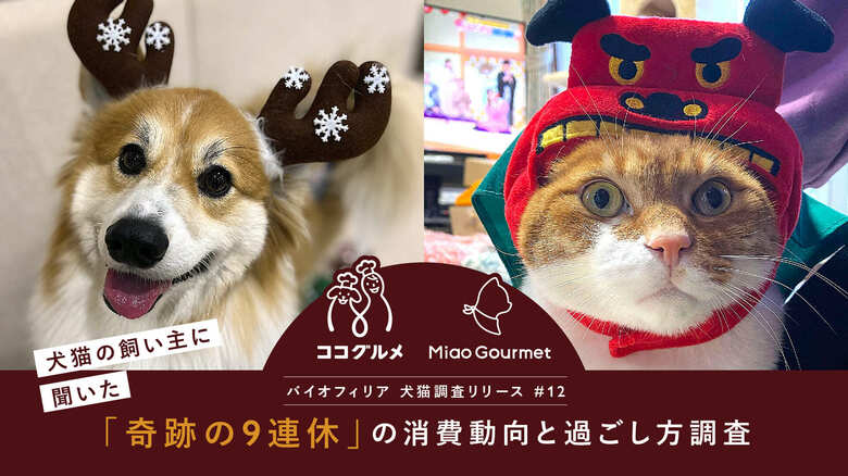 【9連休 犬猫飼い主の消費調査】犬の飼い主はフードやおやつに「プチ贅沢」消費、猫の飼い主は消耗品のまとめ買い傾向