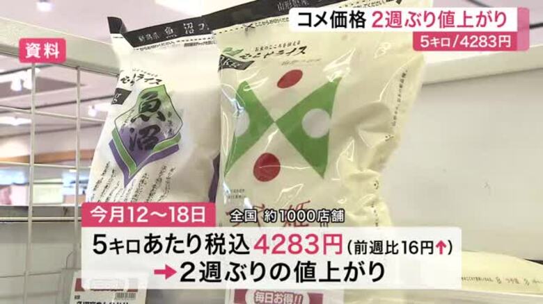 スーパーのコメ平均価格２週ぶり値上がり５キロ４２８３円　相対取引価格下落も高止まり続く｜FNNプライムオンライン