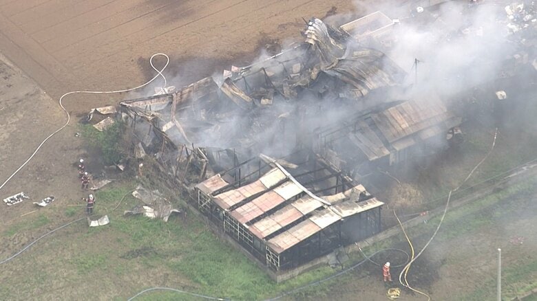 リサイクル会社で3棟が全焼する火事　外の物置場から出火か　けが人なし　千葉・市川市｜FNNプライムオンライン