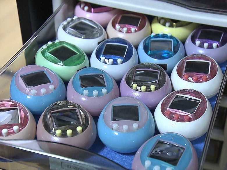 長谷川さんの「たまごっちコレクション」 全部で1300個もあるという