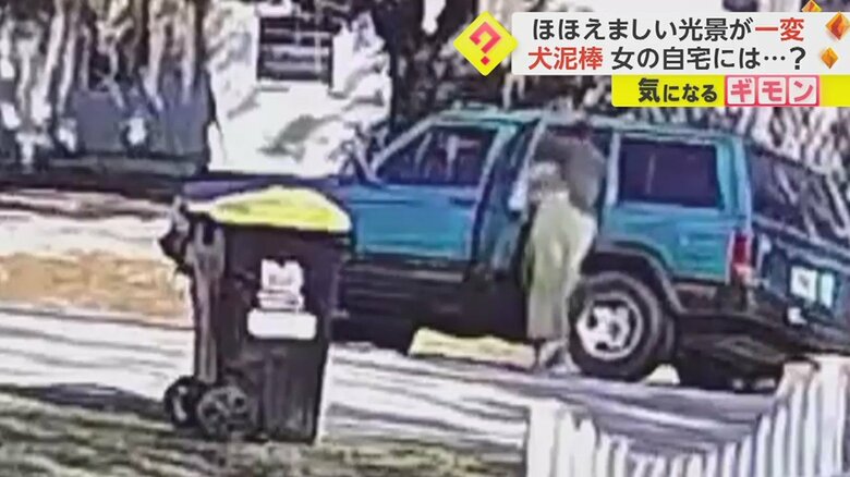 犬を車に乗せて…