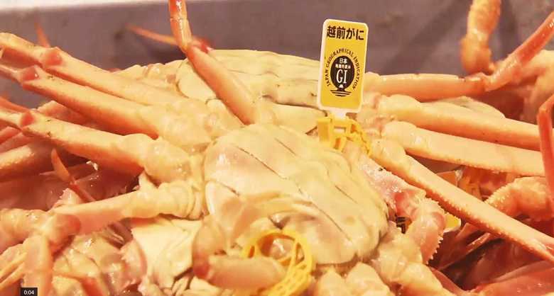 福井県の漁港で水揚げされたカニ「越前がに」