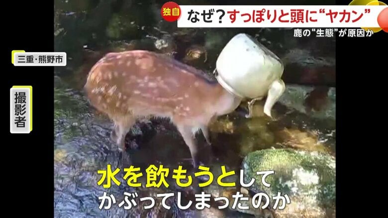 男性は｢（やかんの）中にもしかしたら水が入っていて、それを飲もうとしてかぶってしまったのか」と推察した