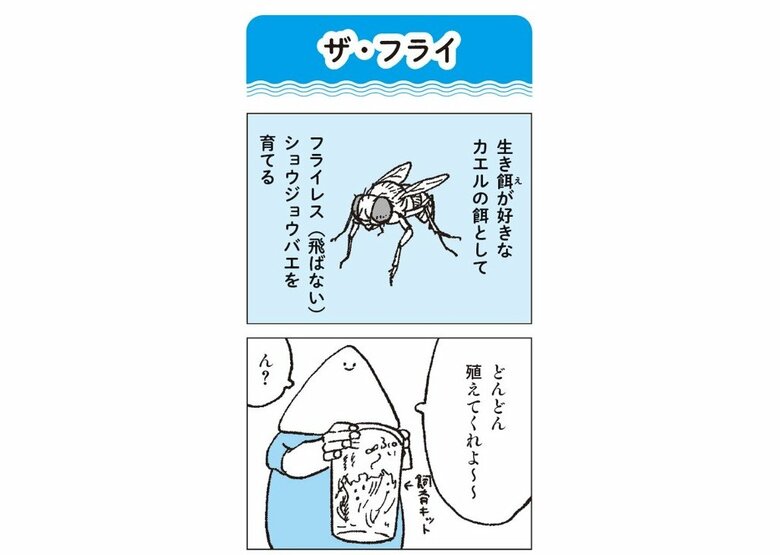 『水族館飼育員のただならぬ裏側案内』（集英社インターナショナル）より