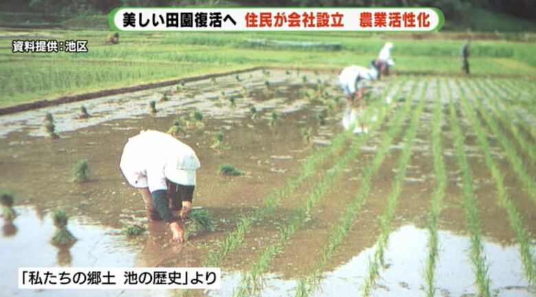 昔の田植えの様子