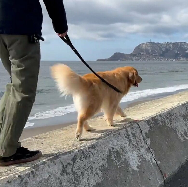 散歩