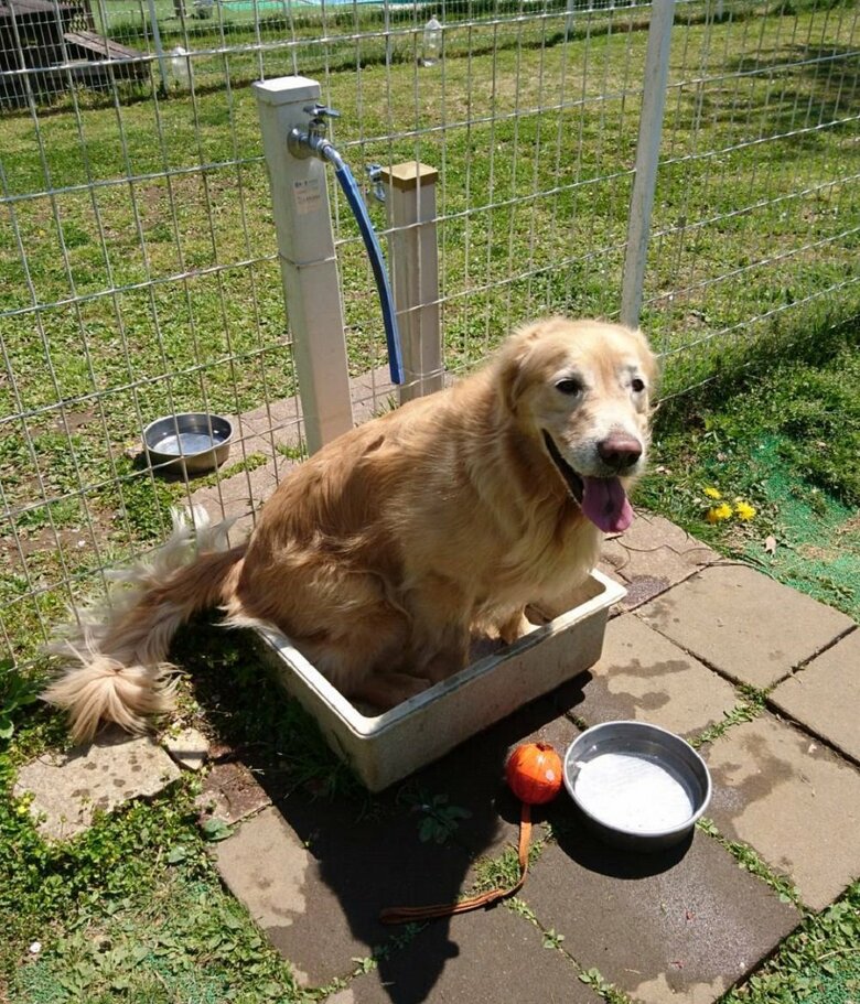 「水を出して」期待の笑顔
